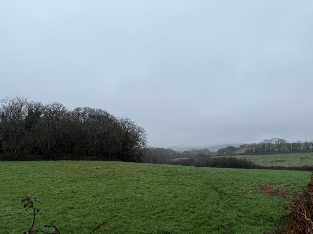 Lot: 89 - APPROXIMATELY 6.8 ACRES OF LAND WITH POTENTIAL - Grassland